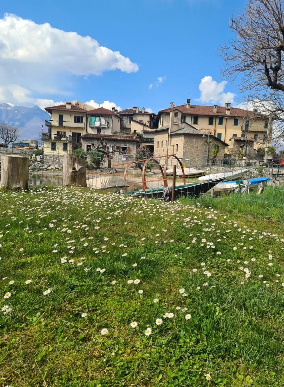 Apartment L'Ulivo Lake View Private Road 5 Kilometers From Varenna Льєрна Екстер'єр фото
